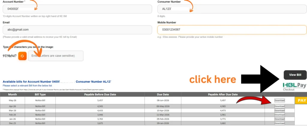 K-Electric duplicate bill portal with Download Bill option highlighted